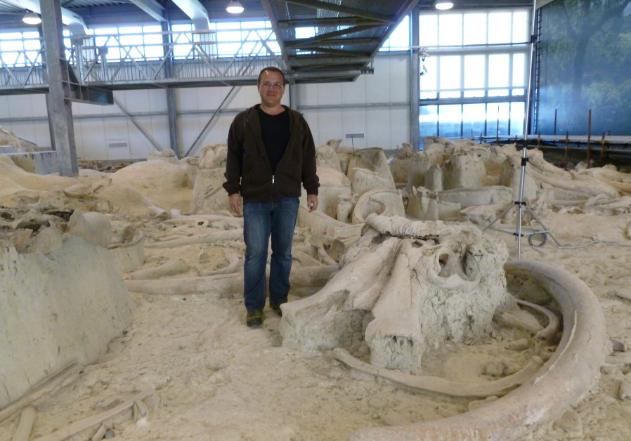 Prof. Ran Barkai at the Middle Pleistocene elephant butchery site of La Polledrara, Italy. (Credit: Photographer: Natalya Solodenko. Courtesy of Prof. Ran Barkai)