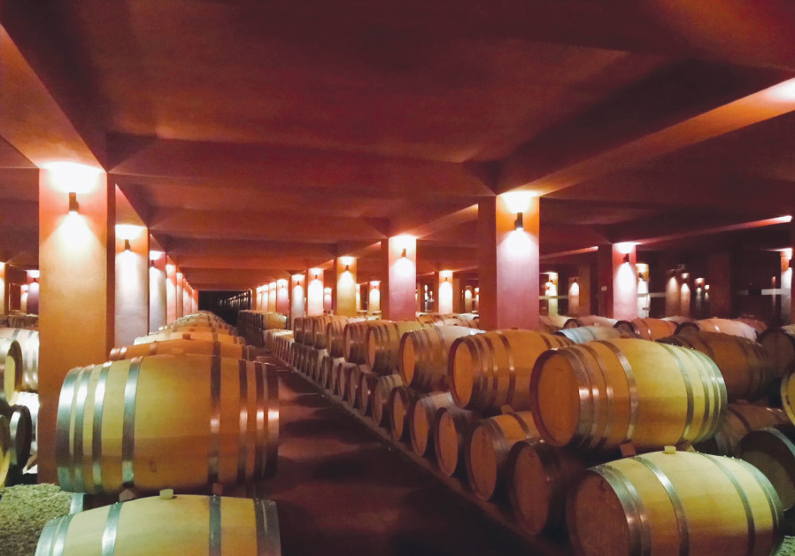 BARREL CELLAR of Alpha Estate, considered among the finest Greek wineries. (Alpha Estate)