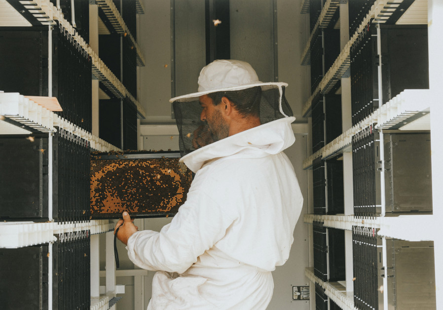 INSPECTING THE combs in a Beehome. (Credit: BEEWISE) 