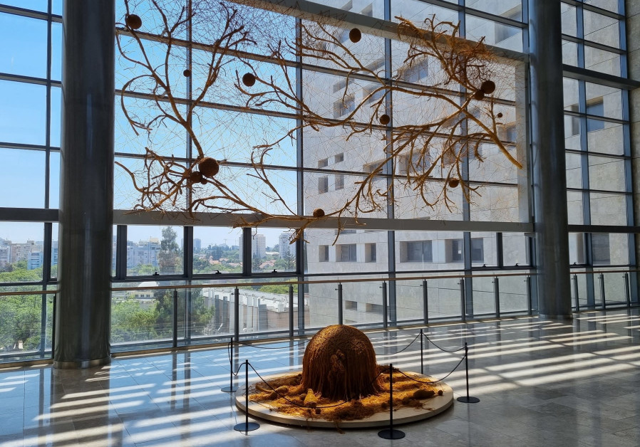 "Stretching the Limits" installation by artist Vardi Bobrow, with the help of researcher Prof. Orit Shefi, June 27, 2021. (Photo credit: Maya Margit/The Media Line)