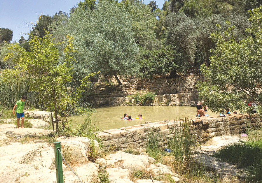 EIN HEMED National Park (Aqua Bella) is perfect for a family outing. The kids will enjoy swimming in the pool  and playing on the lawns, with ruins of a fortified Crusader farmhouse to explore. (Credit: ARNOLD SLYPER)