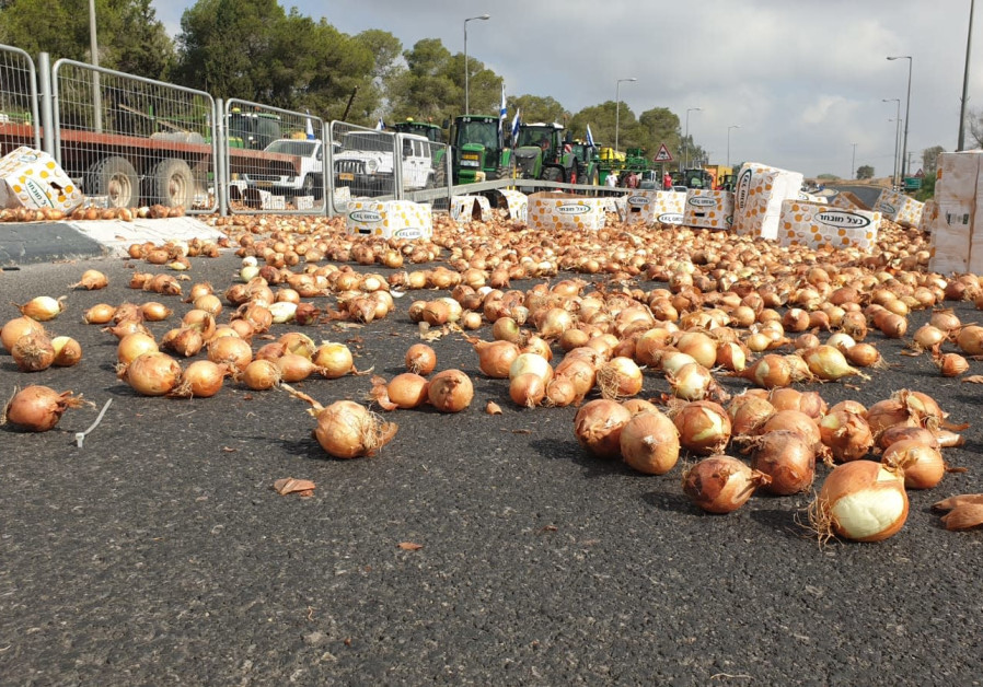 Onions spilled on a road by farmers protesting the agricultural reform, July 29th, 2021 (Credit: Farmer Protest Headquarters)