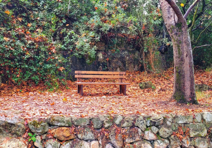 Israel in the fall: Must-see autumn nature hikes