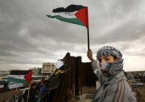 A Palestinian waves a flag near a destroyed section of the border wall between the Gaza Strip and Eg
