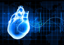 Virtual image of human heart 
