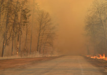 A view shows burning trees and a road covered in heavy smoke in the exclusion zone around Chernobyl