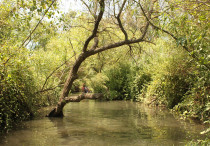 Majrase in the Betiha Valley