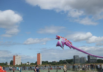 Kite festival