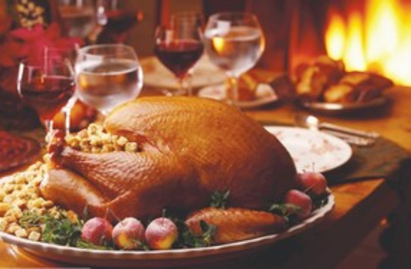 Thanksgiving turkey 311 (photo credit: Courtesy)