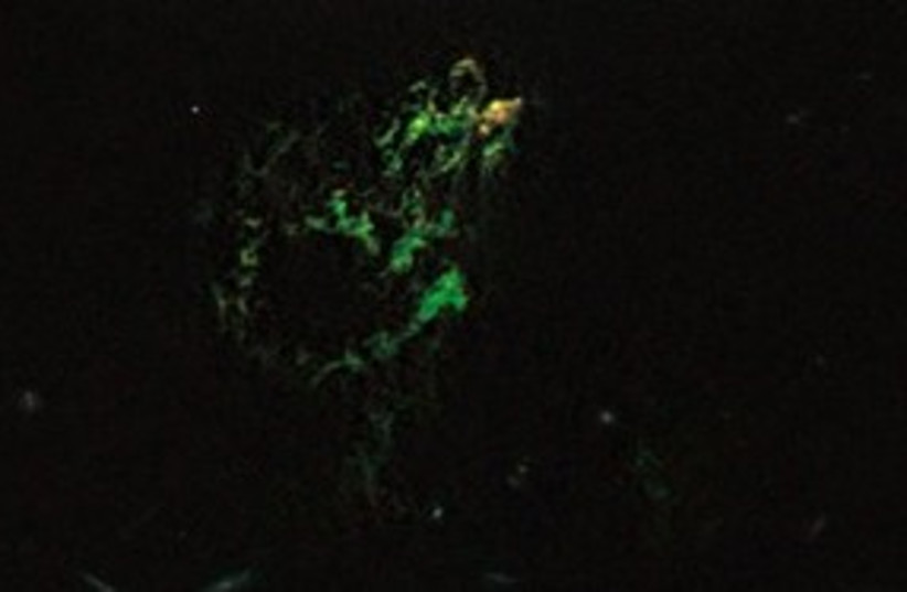 green blob in space_311 (photo credit: ASSOCIATED PRESS)