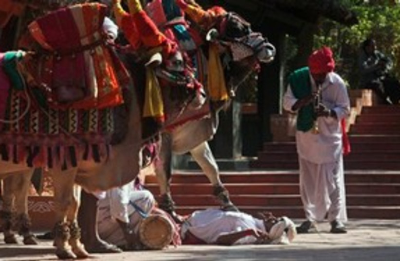 India Hindu festival 311 (photo credit: AP Photo/Mahesh Kumar A)