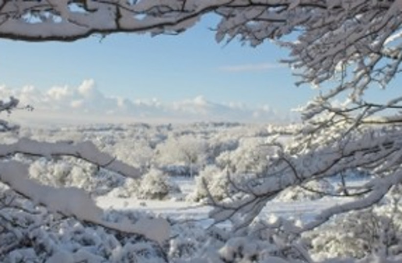 Winter wonderland (photo credit: Courtesy)