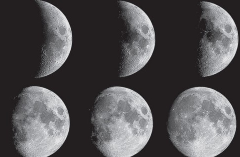 Moons  (photo credit: Courtesy)
