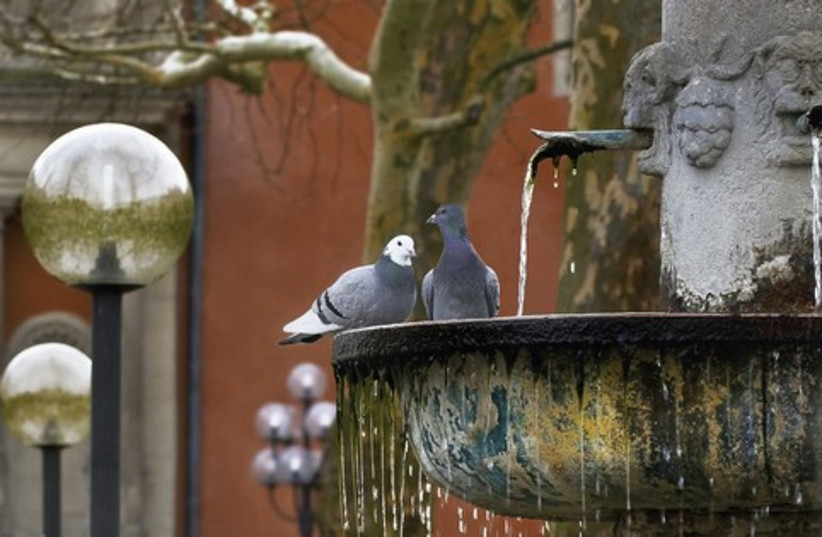 water fountain with birds_521 (photo credit: Israel Weiss (weisssi@bezeqint.net) http://artfram)