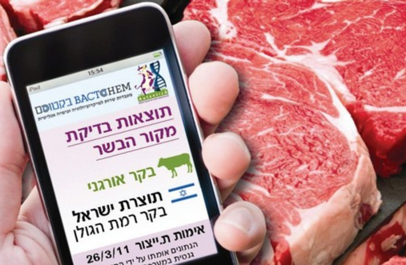 Meat App_521 (photo credit: Elad Brin)