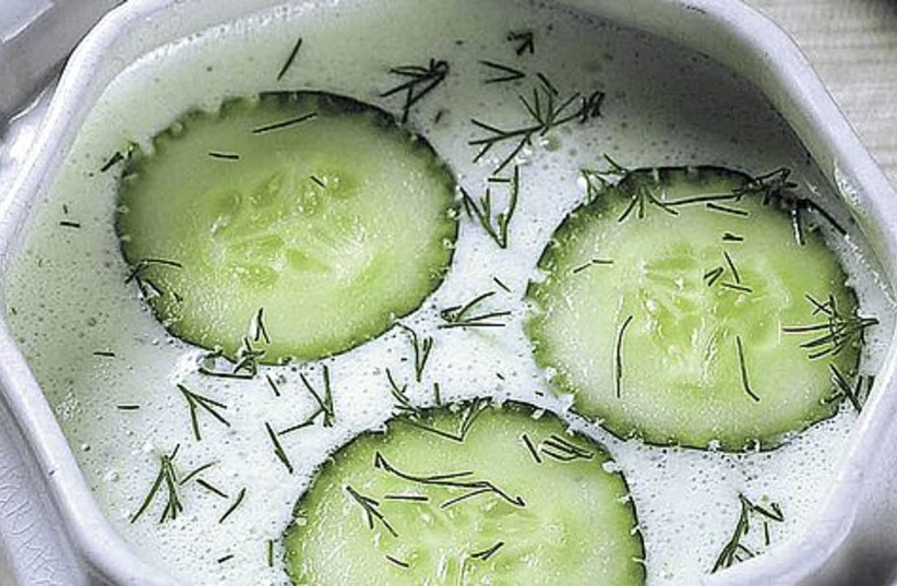cucumber soup 521 (photo credit: MCT)