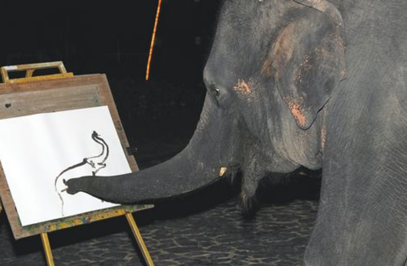 An elephant shows off its talent in Chiang Mai. (photo credit: Menashe Ripel)
