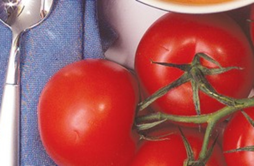 tomatoes311 (photo credit: MCT)
