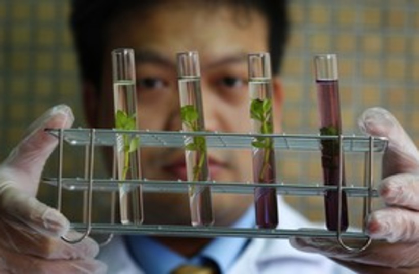 Research in Taiwan (photo credit: REUTERS)