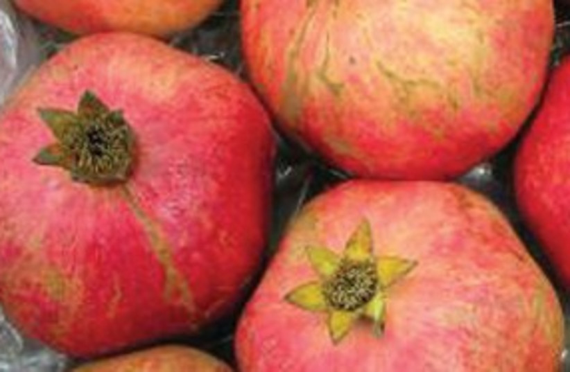 pomegranate 311 (photo credit: Courtesy Volcani Institute of Agricultural Researc)