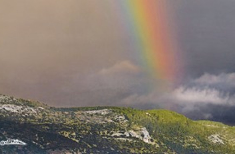 rainbow 311 (photo credit: Israel Weiss (weisssi@bezeqint.net))