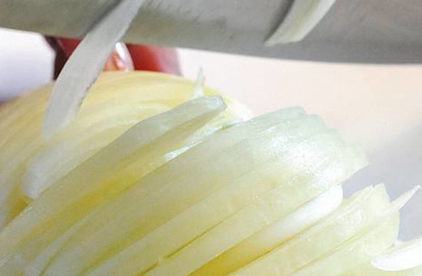 Chopping onions 521 (photo credit: Marice Cohn Band/Miami Herald/MCT)