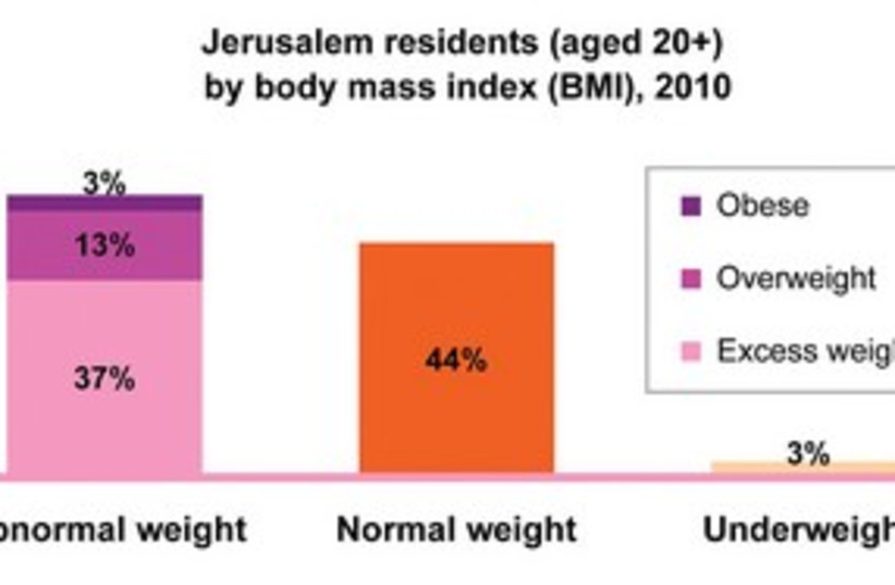 Jerusalem BMI 311 (photo credit: Jerusalem Institute for Israel Studies)