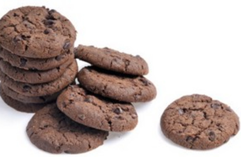 Chocolate chocolate chip cookies 480 (photo credit: Thinkstock/Imagebank)