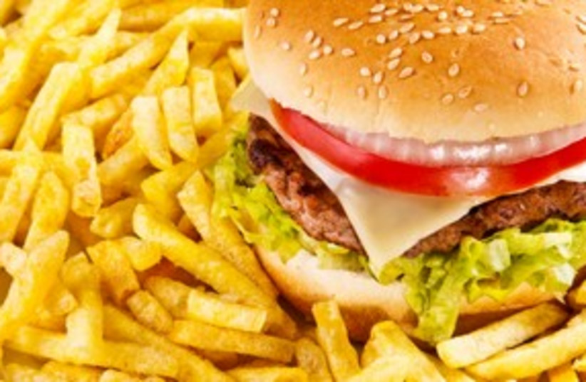 Burger and chips 311 (photo credit: Thinkstock/Imagebank)