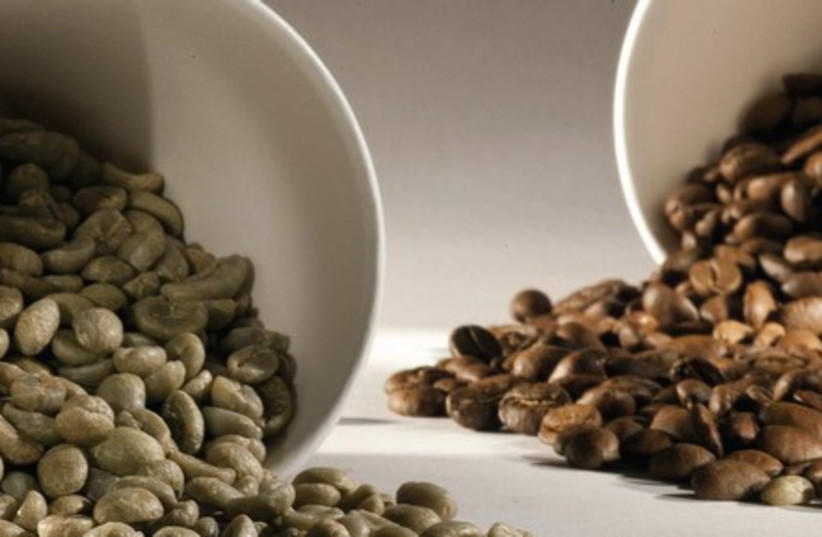 Coffee beans 521 (photo credit: MCT)