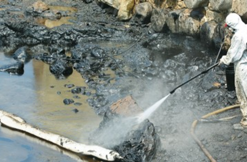 Oil spill [illustrative] 390 (photo credit: Illustrative photo/Reinhard Krause/Reuters)