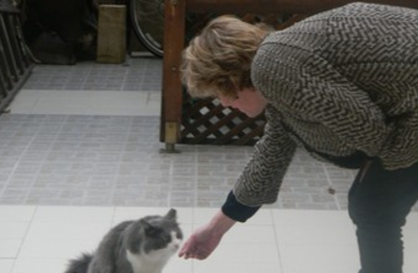 Ilene Lubin bends down to pet a cat 370 (photo credit: Ilene Lubin)
