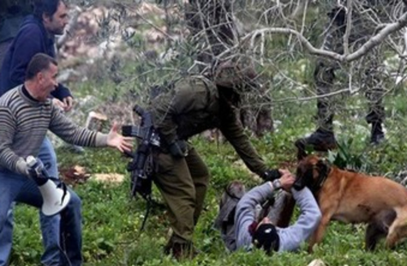 Palestinian protester bitten by IDF dog 370 (photo credit: Courtesy )