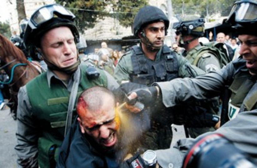 Border police use pepper spray as they detain protestor 370  (photo credit: Ammar Awad/Reuters)