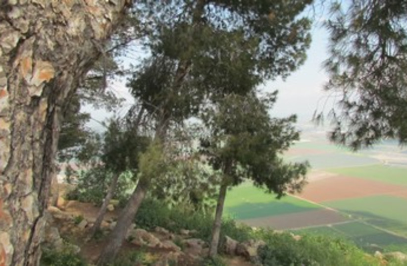 Mount Gilboa 370 (photo credit: TouristIsrael.com)