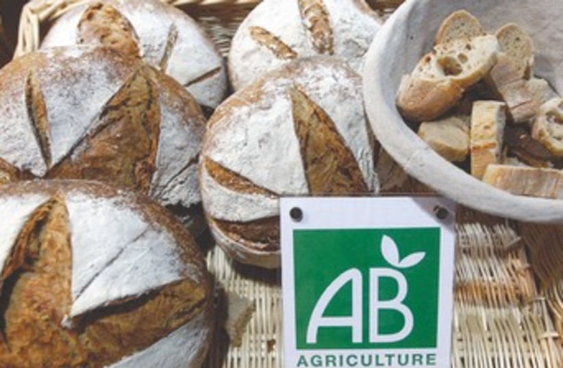 bread [illustrative]_370 (photo credit: Reuters)