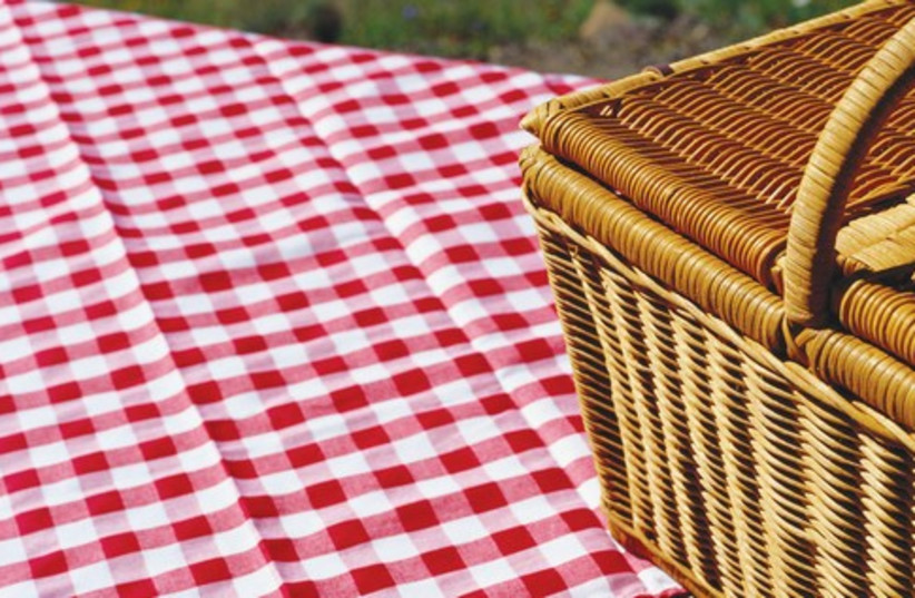 Life is a picnic (photo credit: Courtesy)