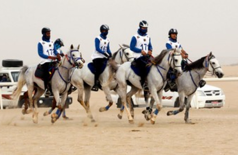 Dubai Crown Prince Endurance Cup 370 (R) (photo credit: REUTERS/Martin Dokoupil/Files)