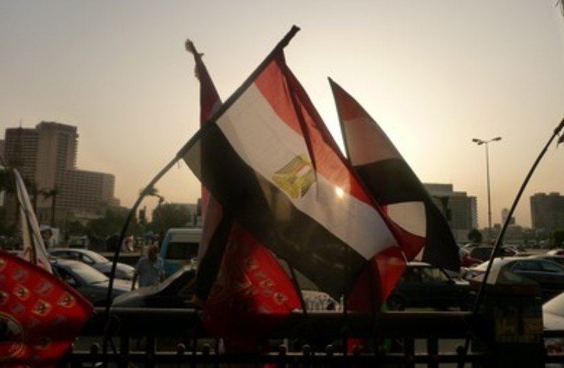 Egyptian flags in Tahrir Square