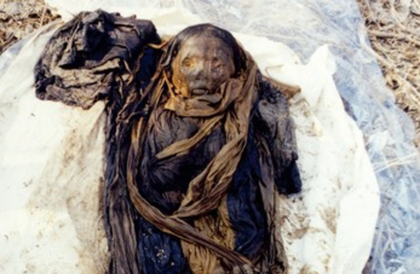 Korean mummy 370 (photo credit: Courtesy Hebrew University)