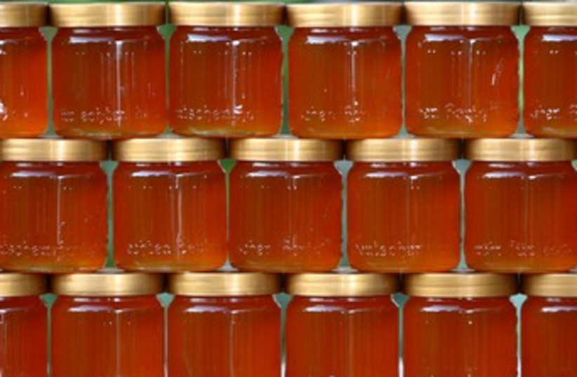 Honey 370 (photo credit: Wikicommons)