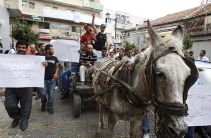 Palestinians ride mule cart in Ramallah protest