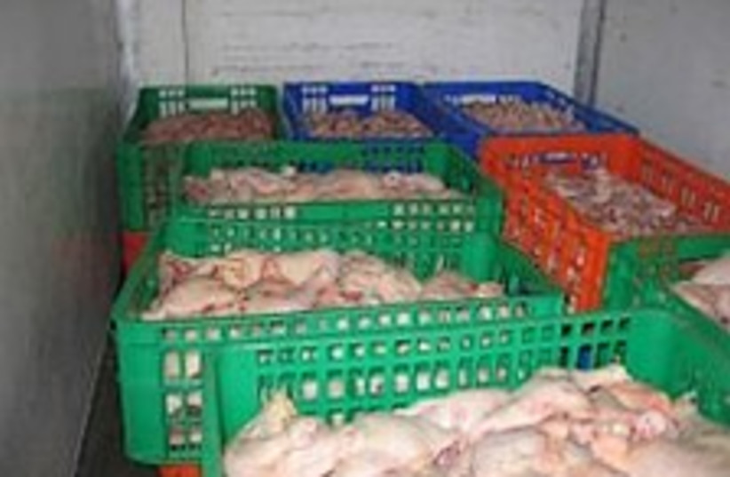 Smuggled chickens 224.88 (photo credit: Agriculture Ministry )