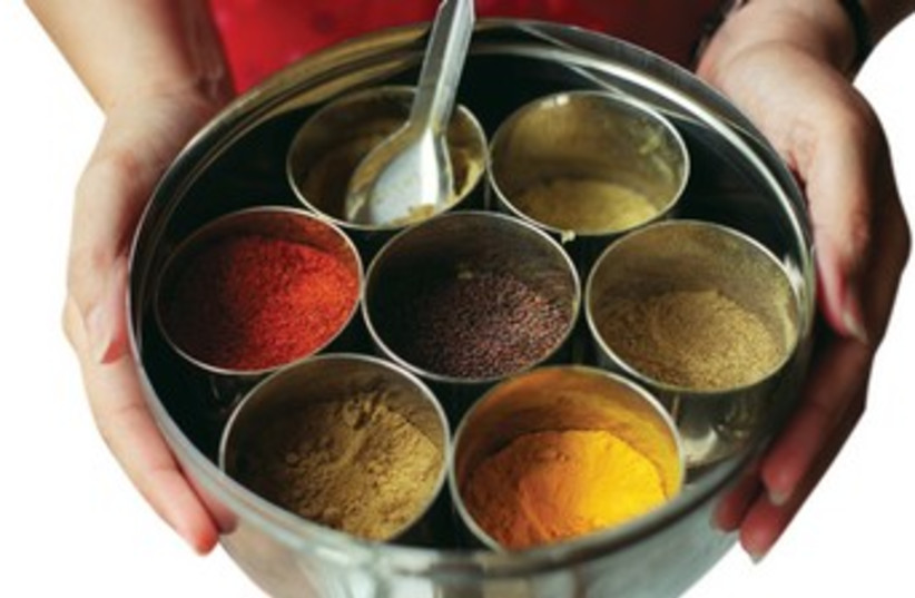 Indian spices 370 (photo credit: MCT)
