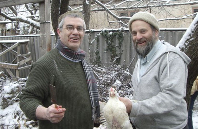 ARI GREENSPAN (left) and Ari Zivotofsky slaughtering  (photo credit: Menachem Kucher)