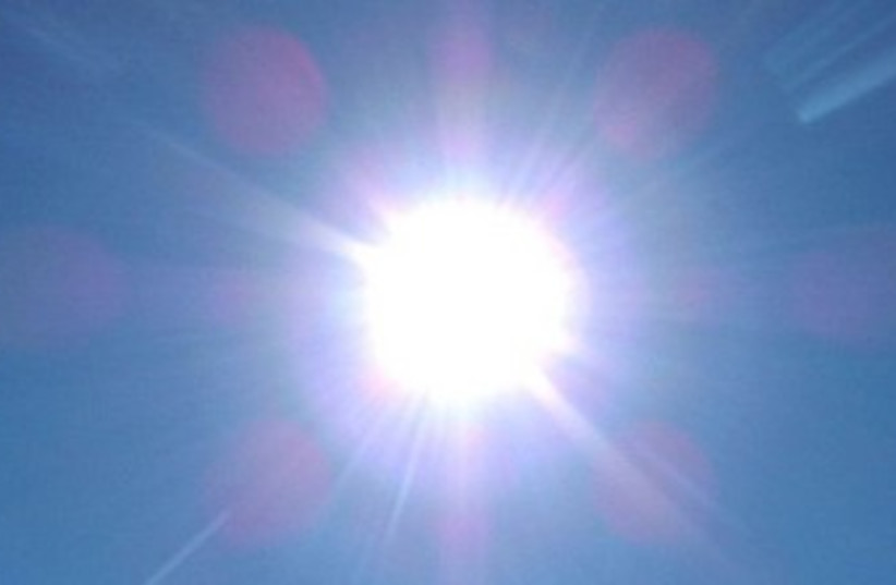 Healthy Eating: Vitamin D saves the day (photo credit: Wikicommons)