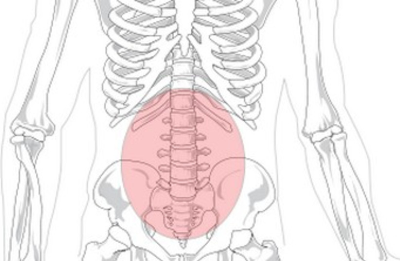 Lower back pain 370 (photo credit: Wikimedia Commons)