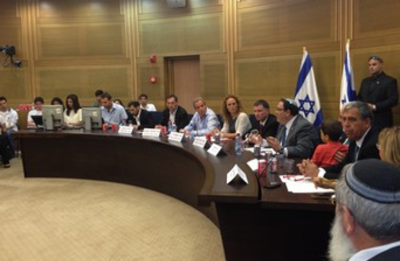 Knesset caucus on Holocaust survivors 370 (photo credit: MK Yifat Kariv's Office)