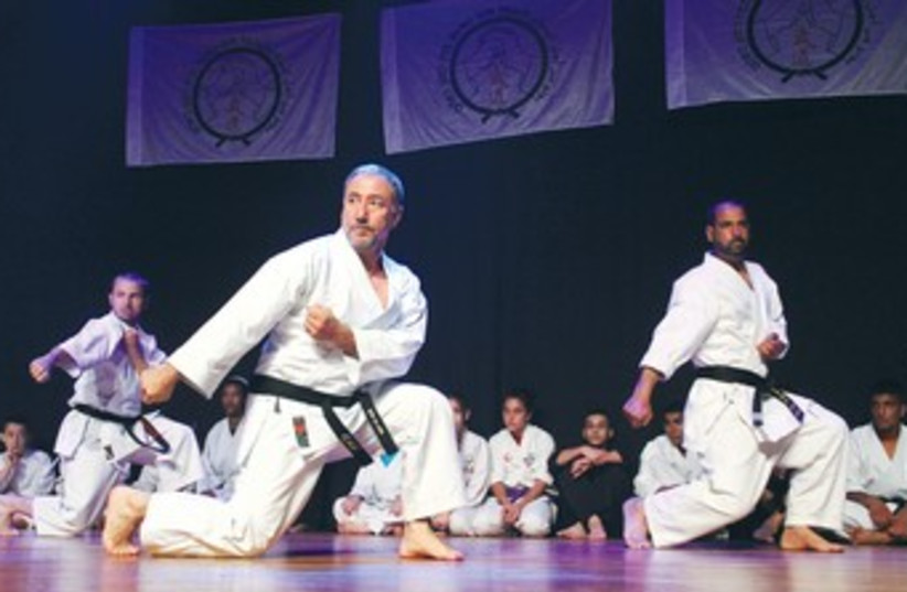 Martial arts peace performance Budo 370 (photo credit: Courtesy Eldad Maestro/Budo for Peace)
