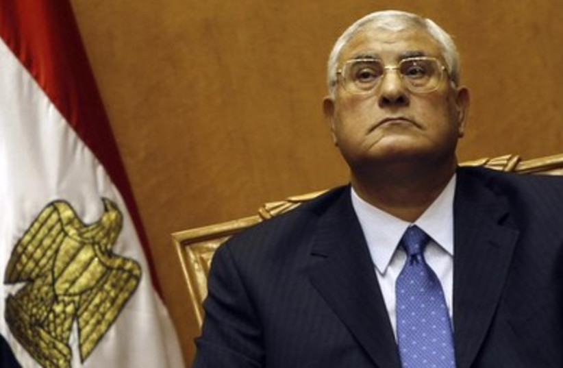 Egypt's Interim President, Adli Mansour
